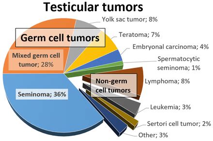 cancer testicular wikipedia